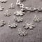 Silver Snowflake Charm Set by Bead Landing™
